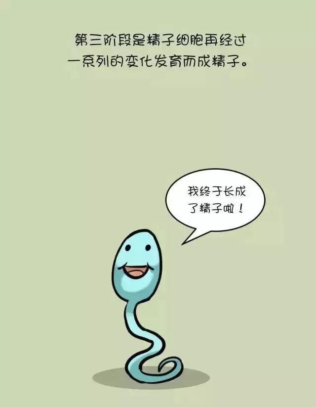 男性不孕不育中医治疗配方,男性治疗不孕不育要用什么药