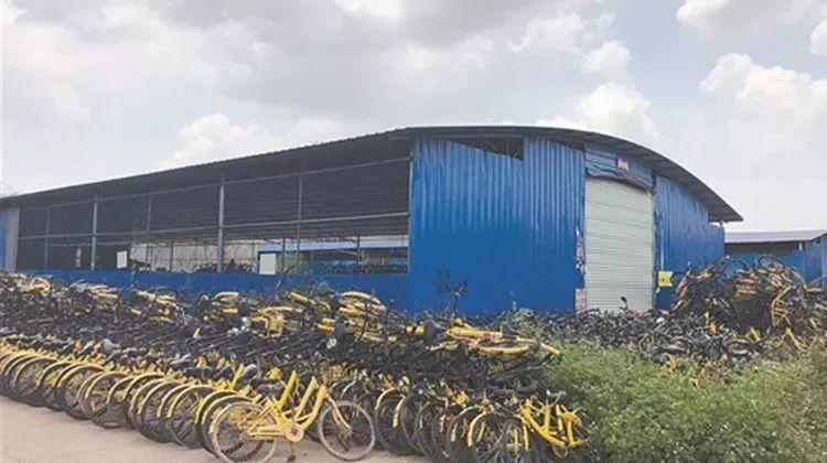 ofo退押金难事件,ofo线上退押金人数超上千万人