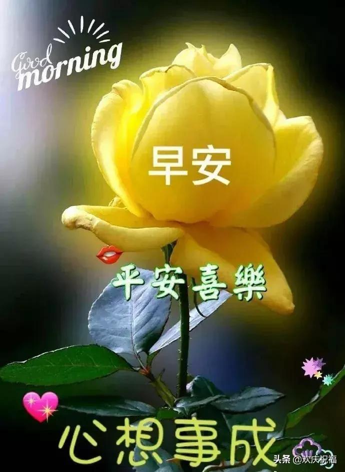 最暖心的早安祝福语图片大全,最美早安问候祝福语动态漂亮图片