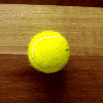 怎样让猫咪优雅的吃猫条,怎么才能让猫咪合理膳食