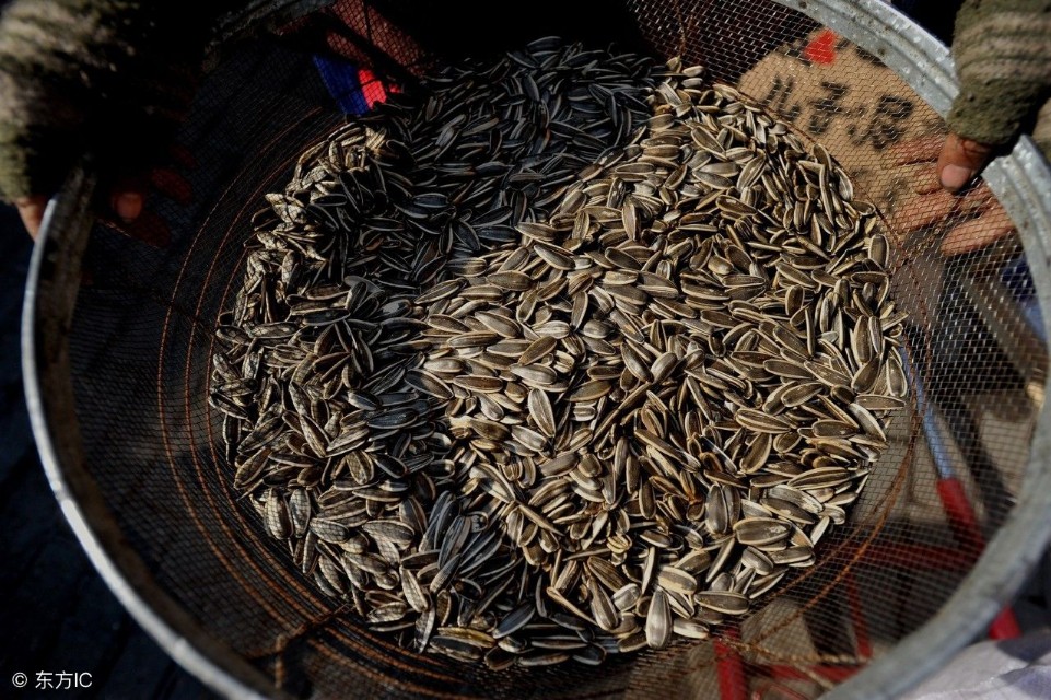 小城的事儿视频,小城趣事