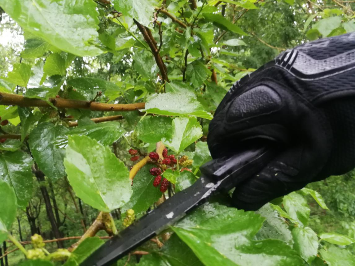 汉道洛克d2评测,汉道洛克xd2怎么样