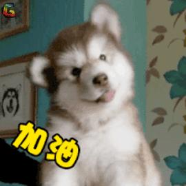 写给敢吃泰国DC*肥药减**的勇士们，别让减肥变成赌命