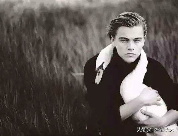 莱昂纳多迪卡普里奥绝世容颜,莱昂纳多迪卡普里奥最崇拜的演员