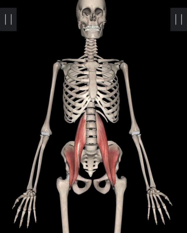 不懂拉伸就不懂健身,拉伸髂腰肌的正确要领