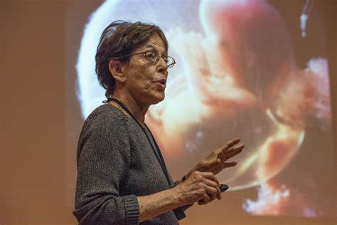 恒河猴真的有用吗,恒河猴能治愈吗