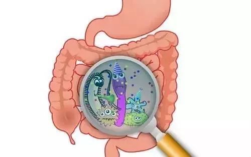 大肠息肉摘除后是否会再长?肠息肉切除后多长时间复查比较合适?