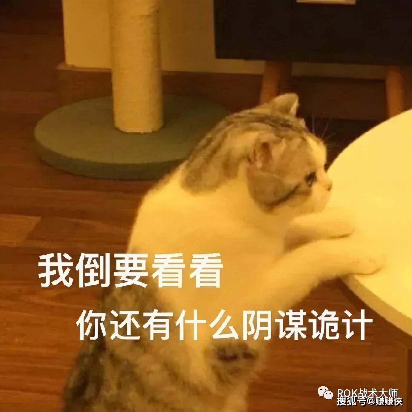 万国觉醒一条龙有多少宝石,万国觉醒宝石做什么最好