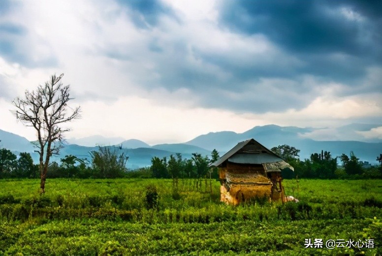 王安石诗词最佳十首五言绝句,王安石古诗最佳十首