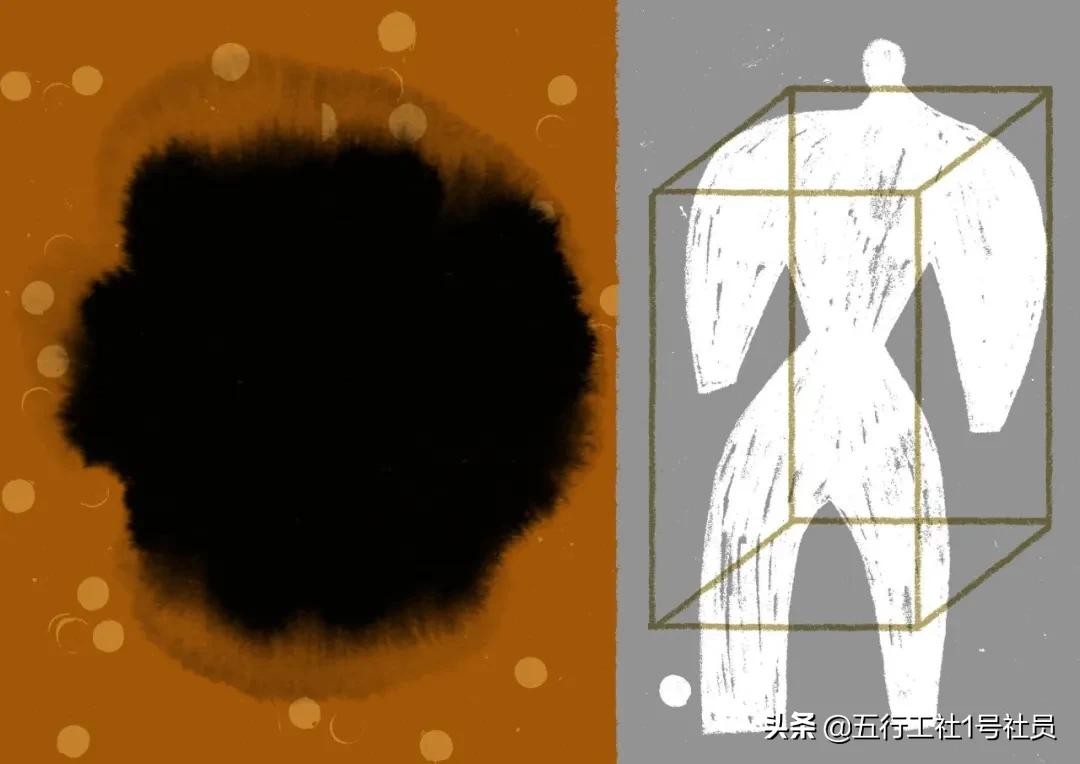 纽约时报年度最佳童书绘本推荐,纽约时报年度最佳图书