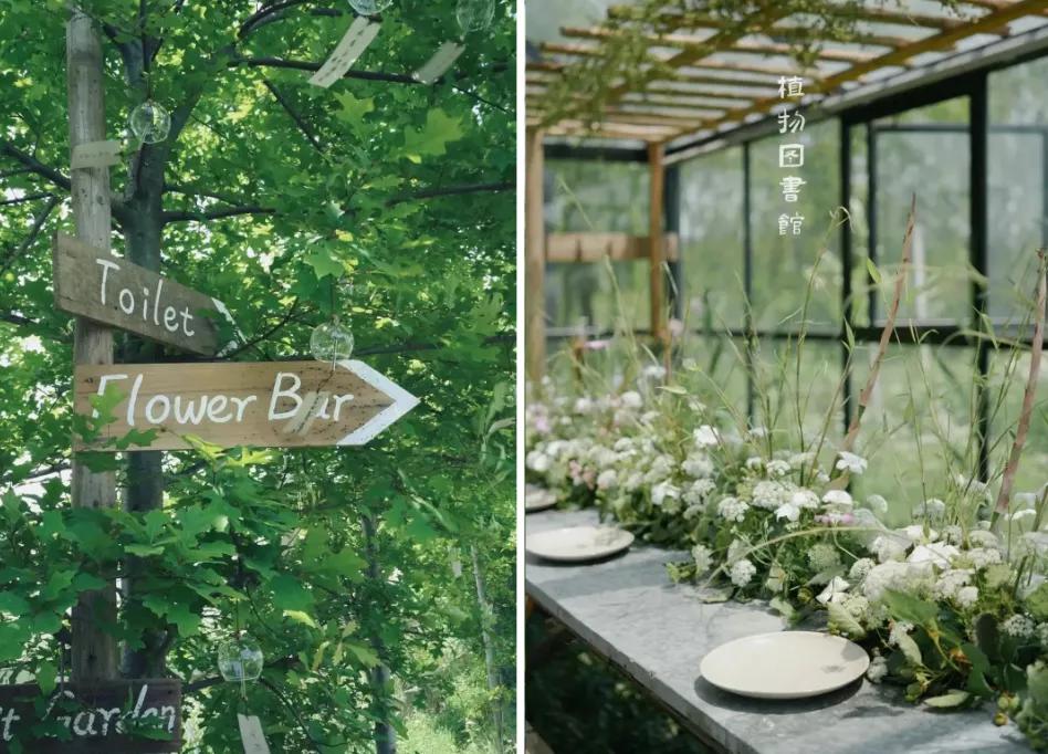 最会说情话的人全集,最会说情话的人