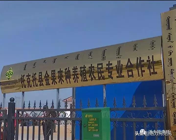 壮丽70年奋斗新时代相关资料,壮丽70年奋斗新时代总结