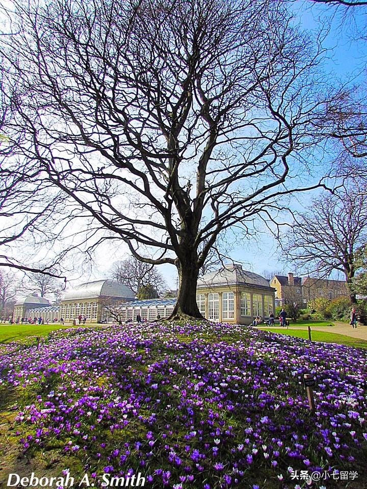 英国留学篇——巴斯大学（UniversityofBath）
