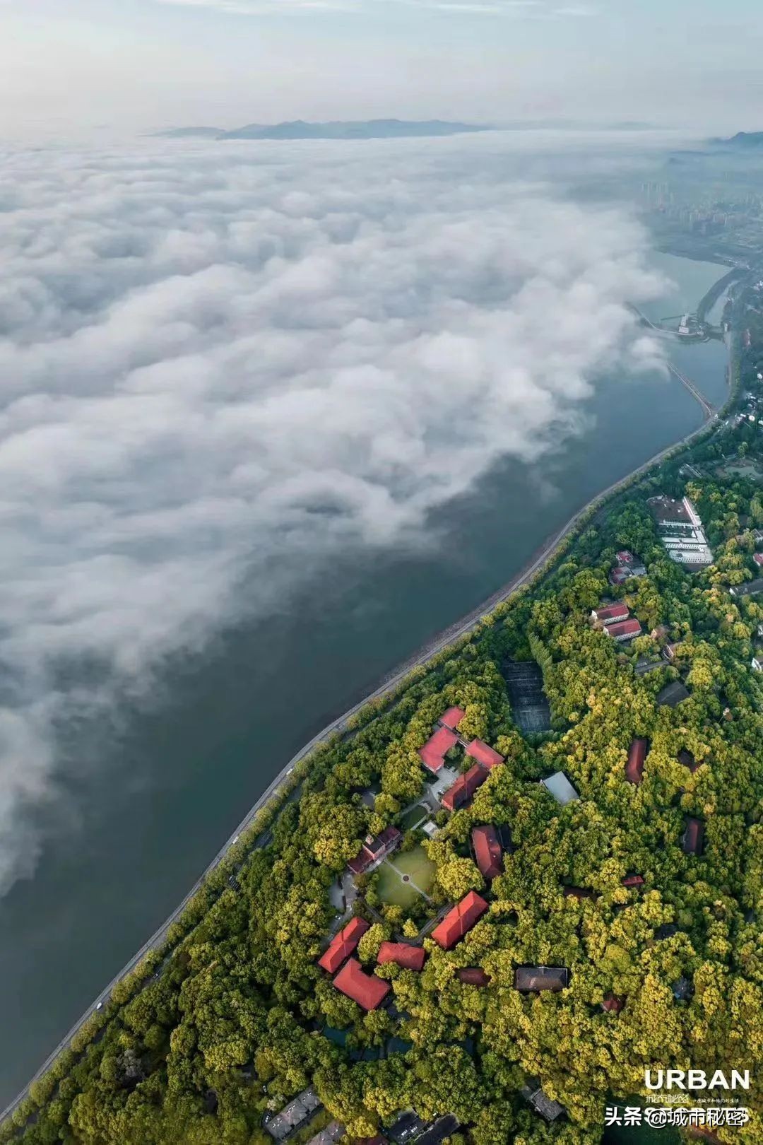 江南100，杭州99