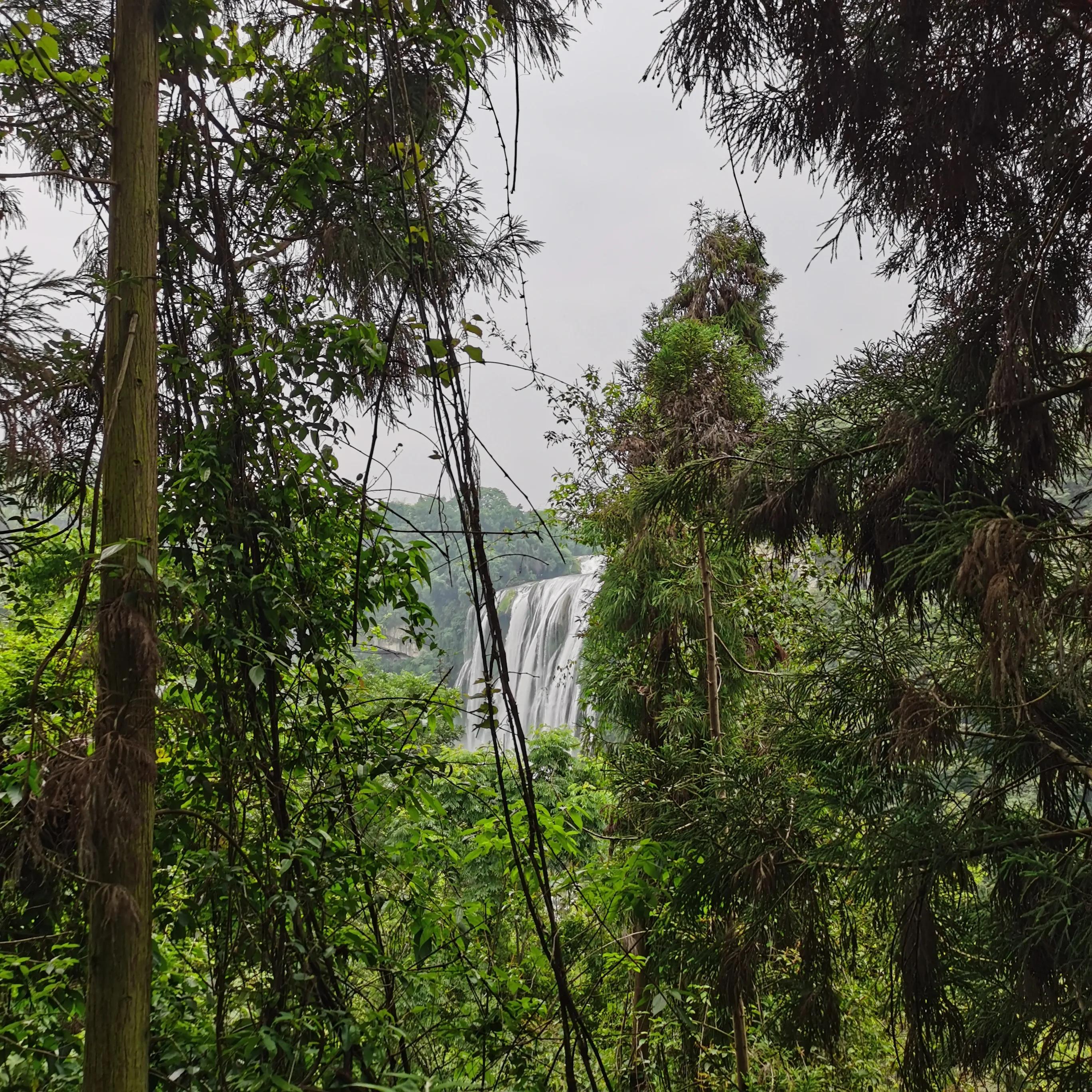 向南方和向北方,登上山顶看美景贵州黄果树瀑布