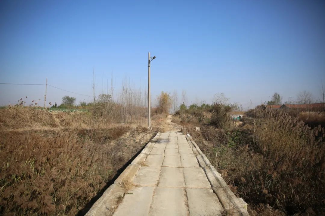 高密作协田野考察（三）乐者电子商务，迎乐科技发布