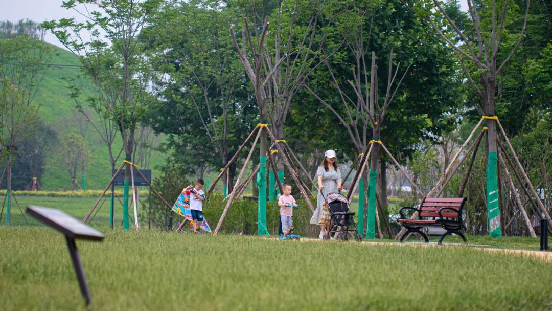西安花海小森林,西安周边适合郊游野餐的地方
