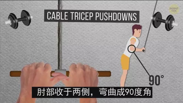 怎么练手臂的肱三头,怎么才能练出手臂的肱三头肌