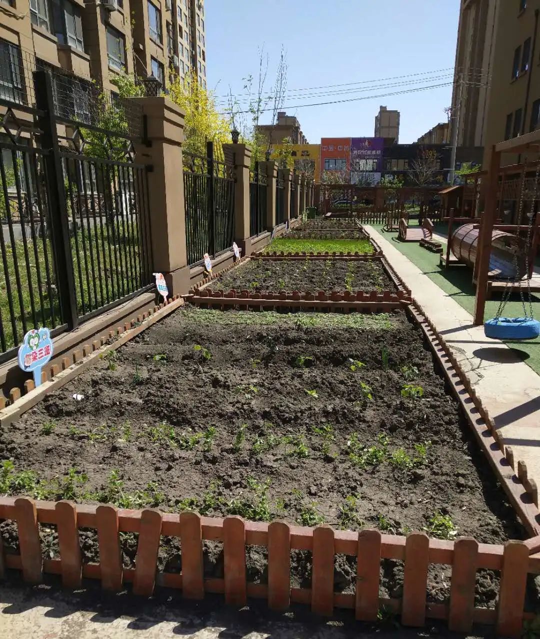 「长拖资讯」初夏绽放——老师把幼儿园的夏天和思念“打包”给你