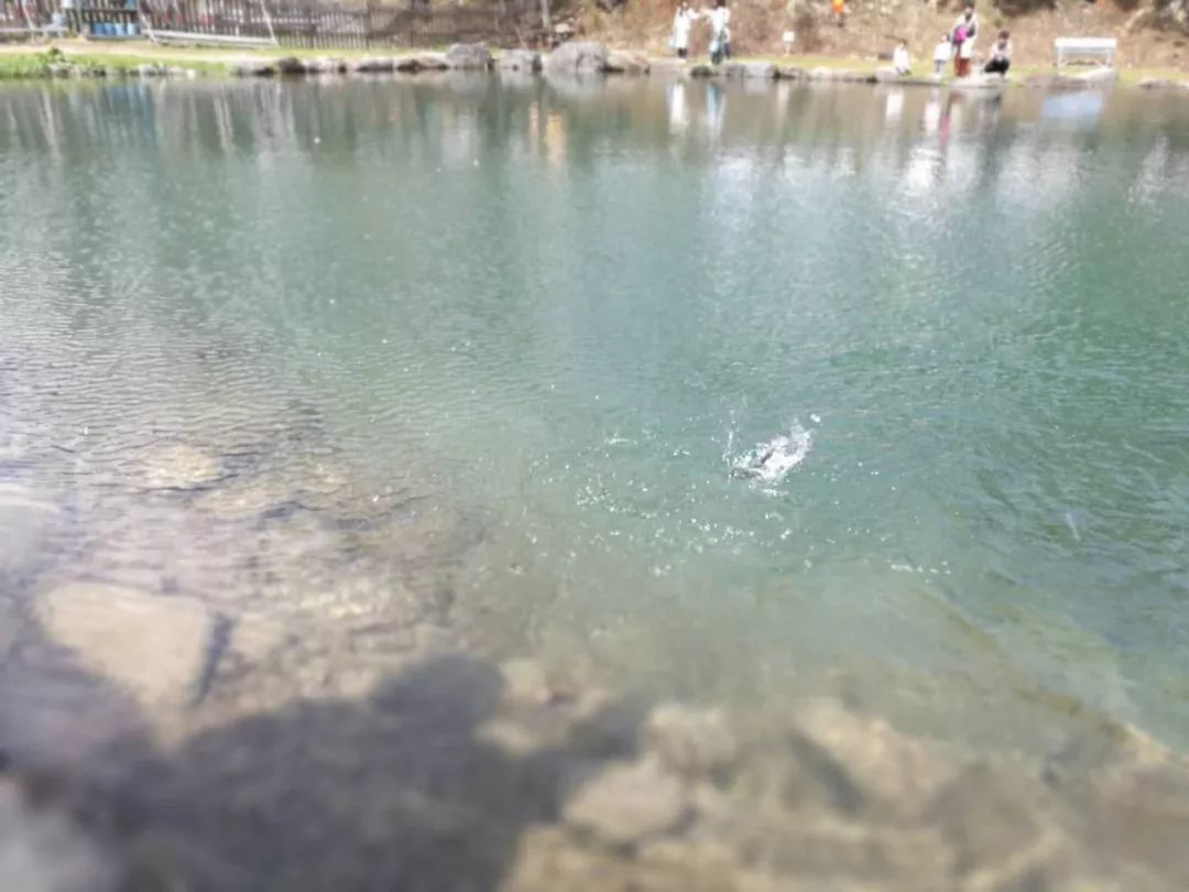 外国游客在日本钓鱼是一个什么样的体验？