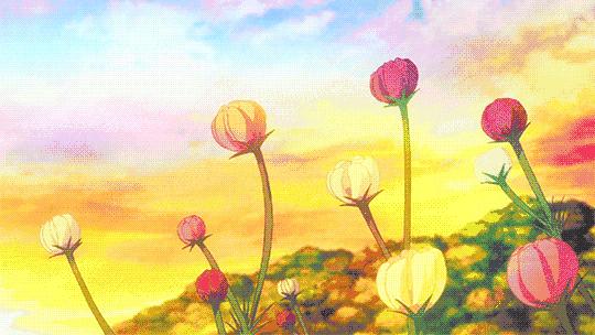 郁金香花海太美了,咸阳湖畔郁金香花海