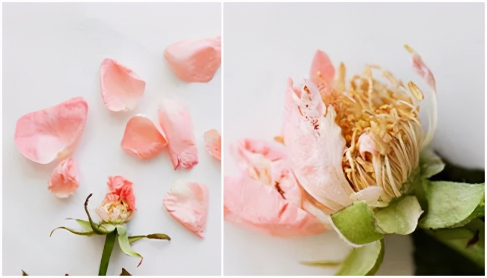 保护女性不受侵犯,保护女人刻不容缓