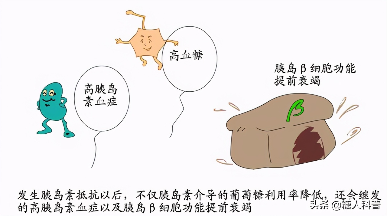 二甲双胍消除胰岛素抵抗,彻底消除胰岛素抵抗的方法