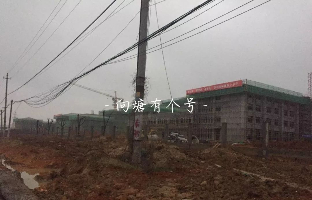 向塘好久不见,向塘中学