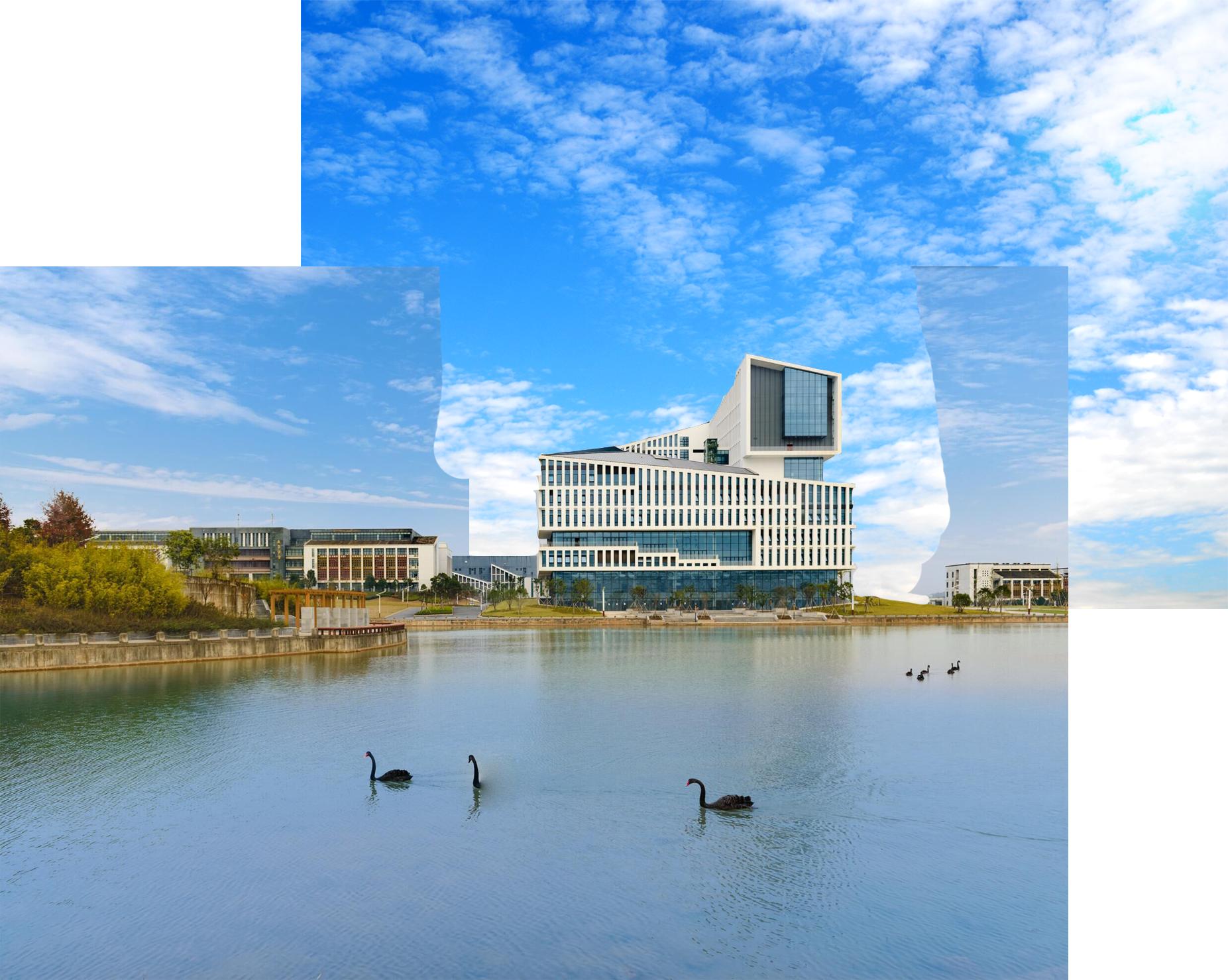 安徽高考志愿填报必须在学校填吗,合肥工业大学宣城校区多少分能上