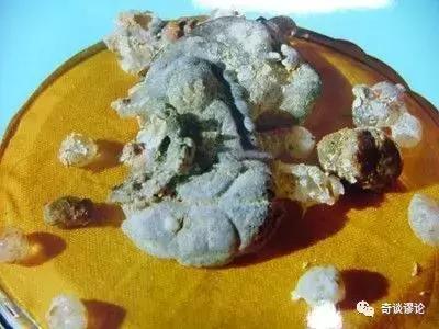 世所罕见的舍利子,未解之谜神奇的舍利子