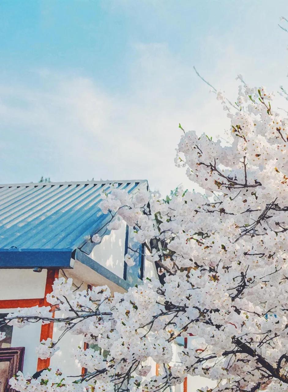 三亚和厦门哪一个更值得去旅游,三亚和厦门哪个地方值得去