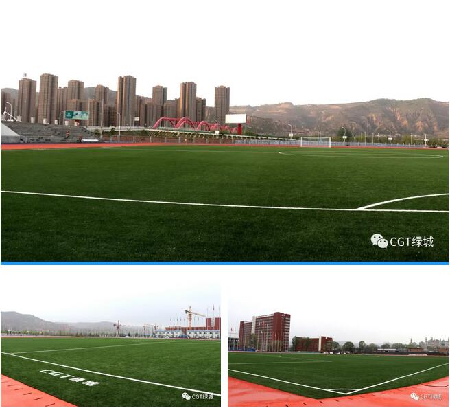 国外人造草坪足球场,高端人造草足球场