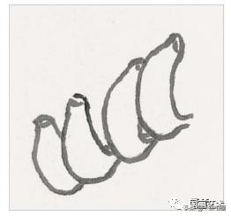 芭蕉叶画法教程,国画芭蕉画法视频