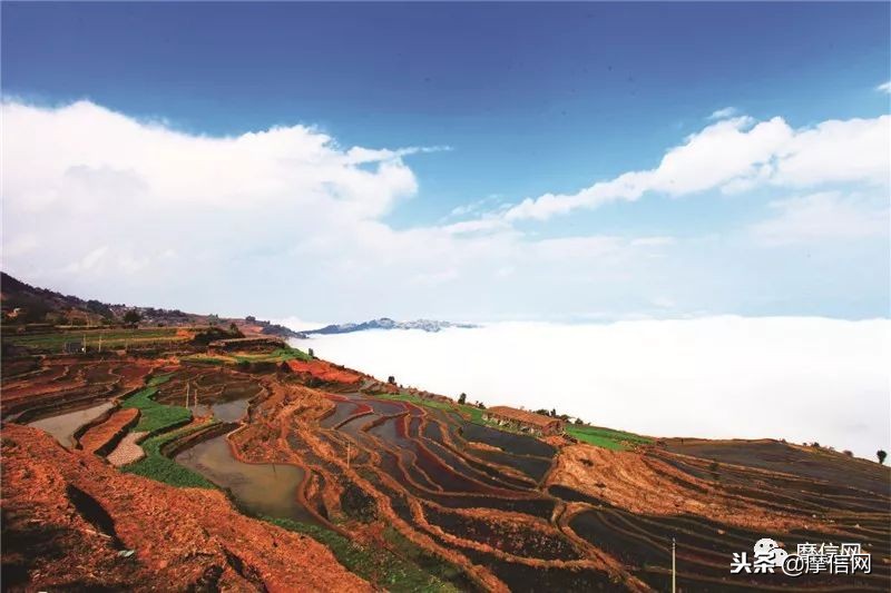 刘智远：摩托江湖的行者