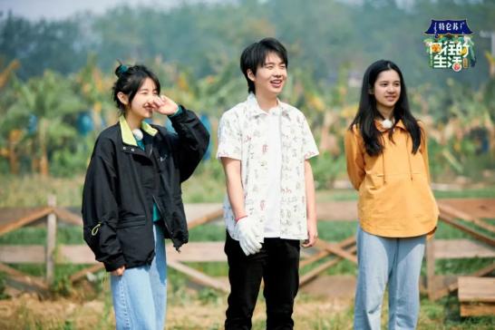 向往的生活宝宝,向往的生活哄睡