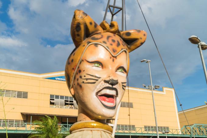 再次拥抱巴西，千万种风情想与你诉说,上）