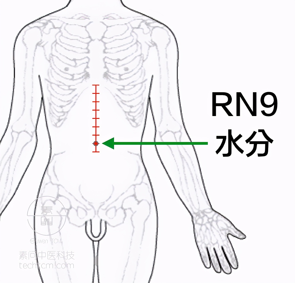 中医针灸推拿能治癌症吗,艾灸针灸拔罐刮痧之间的区别