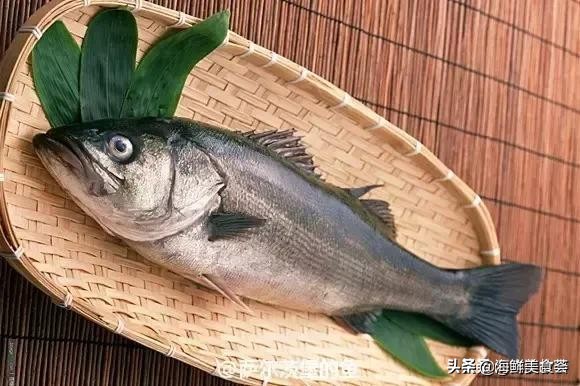 各种寿司纯鲜三文鱼刺身,日本传统寿司都用什么鱼