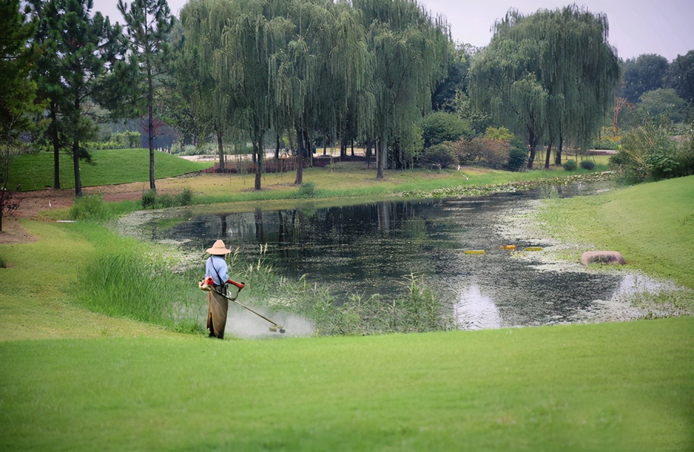 去上海旅游最值得去的地方,上海旅游攻略值得去的地方