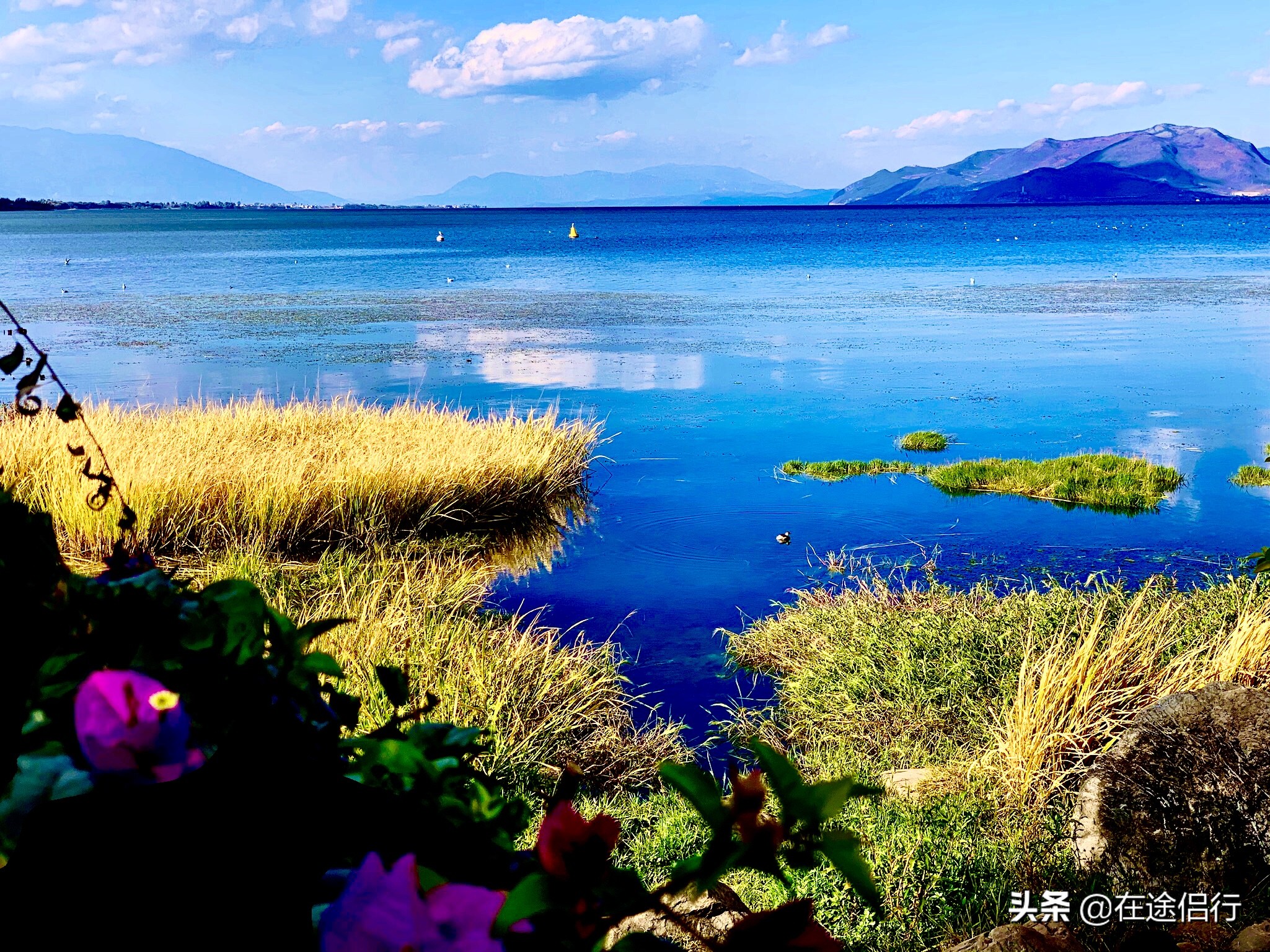 大理洱海恢复了吗,2019年洱海整治好了吗