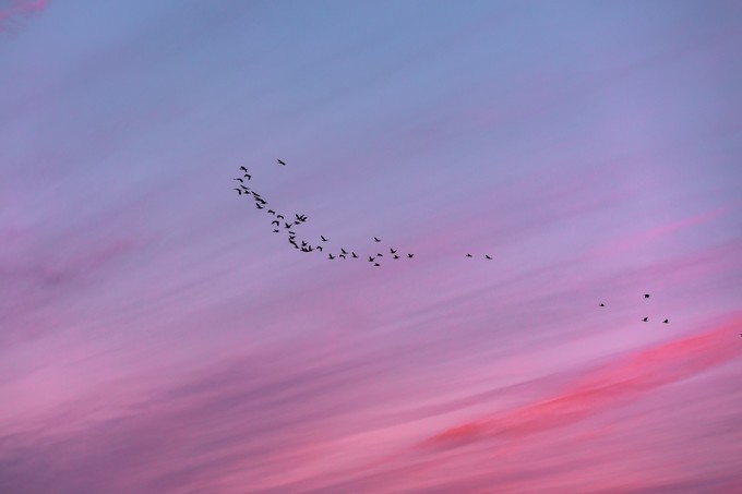 自驾呼伦贝尔|七千里路云和月,写给秋天和自己的故事