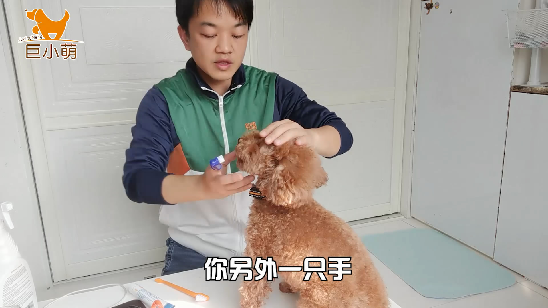 狗子的牙齿为什么那么臭,狗子嘴巴臭吃什么好