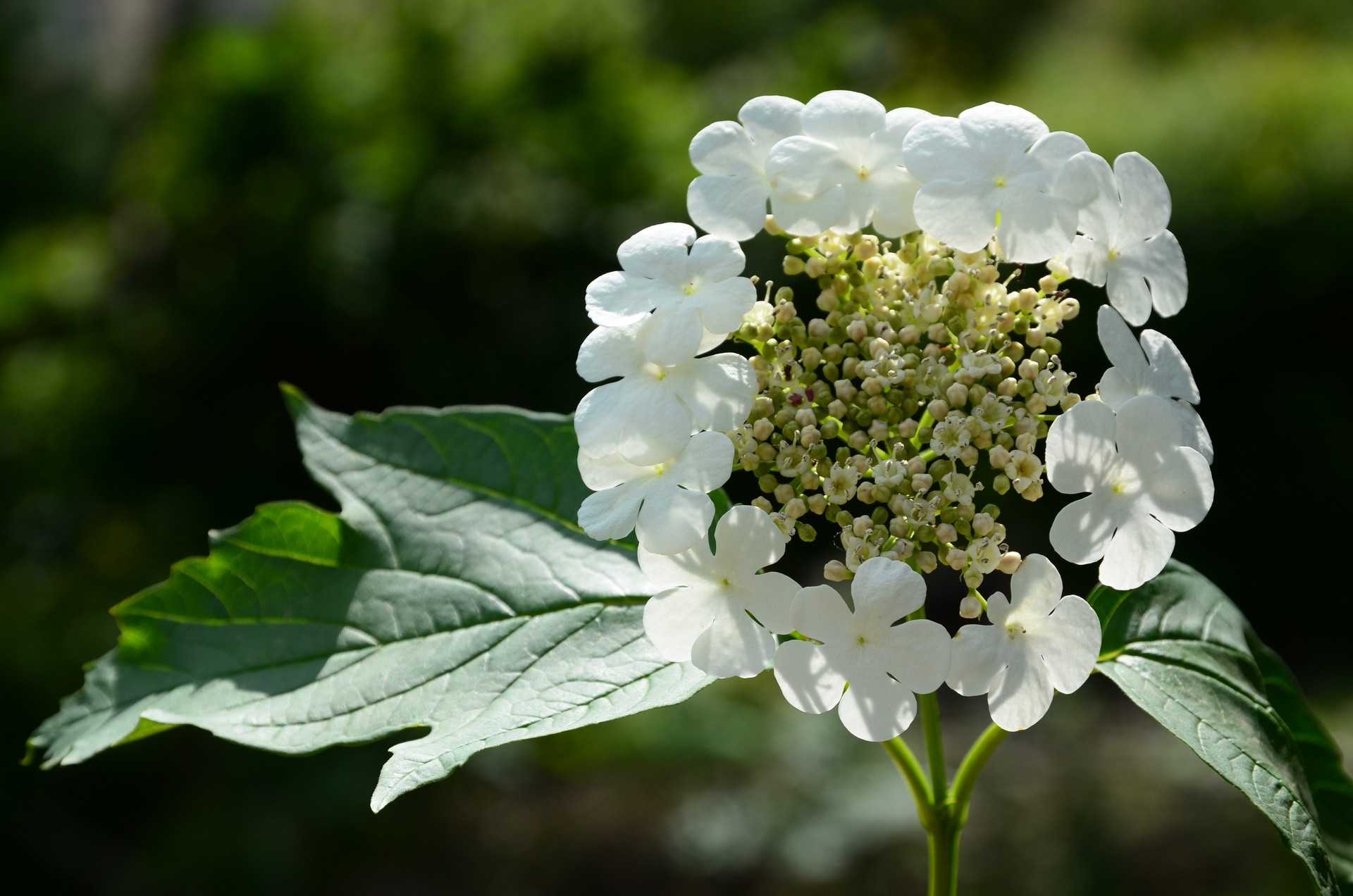 微信好友借钱不还怎么办,微信上借钱给别人不还怎么办