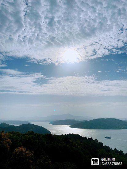 天目湖白茶大师之作,品一杯洪雅明前茶