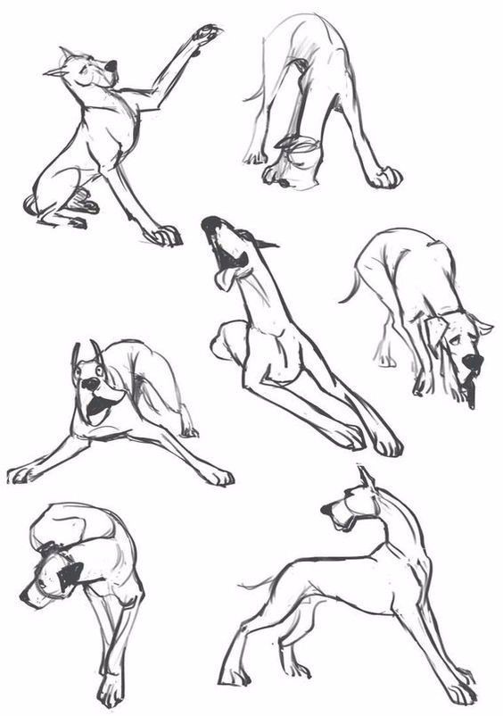 简笔画人物教程大全零基础成人,1000个适合零基础的简笔画教程