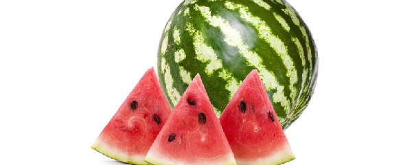 西瓜苗烂根什么原因,西瓜烂根打什么药