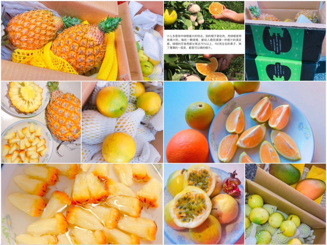 天寒地冻也有一缕阳光,寒冷的冬天寻找温暖的地方