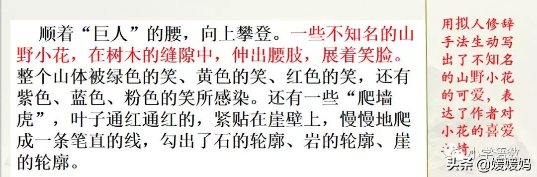 四年级下册语文第五单元作文《游______》写作指导