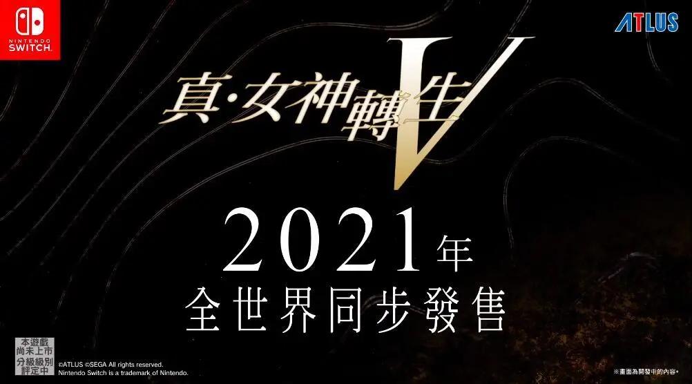 ns真女神转生评测,ns真女神转生5多少个g