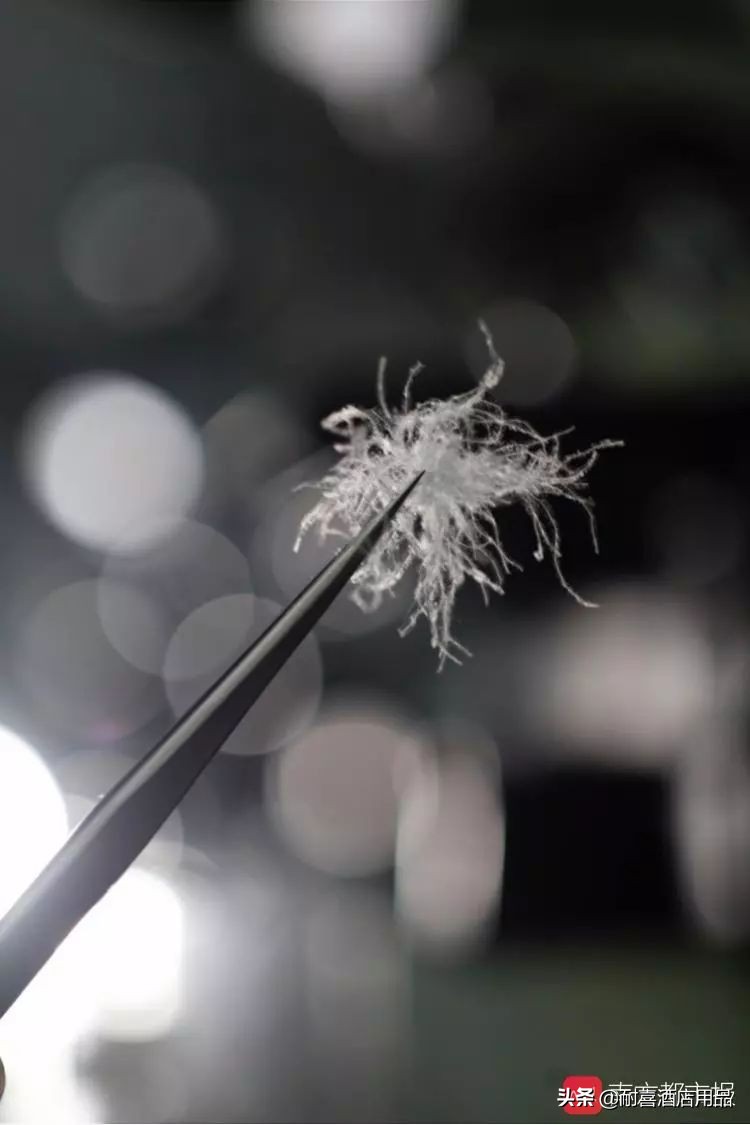 识别真假羽绒服视频,如何识别假羽绒